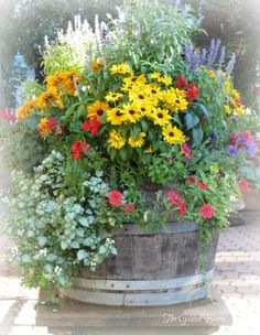 a barrel filled with lots of colorful flowers