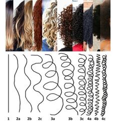 Hair Type Chart, Natural Hair Growth Remedies, Natural Hair Growth Tips, Curly Hair Photos, Curly Hair Types, Pelo Afro, Natural Curls Hairstyles, Slicked Back Hair, Curl Pattern