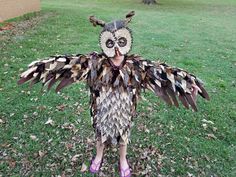 an owl costume made out of feathers on the grass