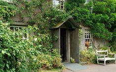 an old house with ivy growing on the walls and door, surrounded by greenery