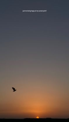 a bird flying in the sky at sunset with an inspirational quote above it that reads,