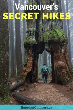 a person standing in front of a giant tree with the words vancouver's secret hikes