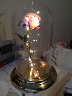 a fake rose in a glass dome with lights