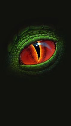 the eye of a green dragon with orange and red colors on it's eyes