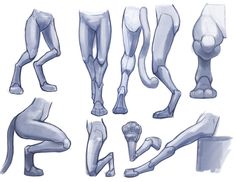 the legs and feet of an animal are shown in various positions, with different angles