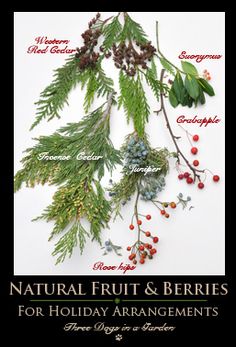 a poster with the words natural fruit and berries for holiday arrangements