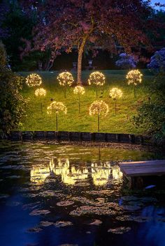 lighted trees in the middle of a pond with water lilies and lily pads around them