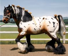 a horse that is standing in the dirt