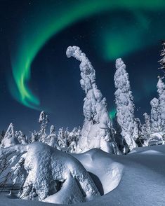 an aurora bore in the night sky over snow covered trees and evergreens with bright green lights