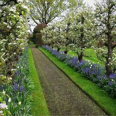 the path is lined with blue and white flowers