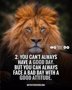 a lion with the caption that says, 2 you can't always have a good day but you can always face a bad day with a good attitude