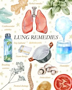 Lung health is so important and something many of us struggle with moving into cold and flu season.   That’s why we created Lung Support+, a tincture made with powerful expectorants to help break down and remove unhealthy mucus from the lungs. This tincture is amazing for:  Allergies Cleansing for smoker's lungs Those who are sensitive to environmental elements such as dust and mold Crystals For Lung Health, Lung Cleanse Smokers Recipe, Lung Health Remedies, Upper Respiratory Infection Remedies, Respiratory Infection Remedies, Lung Support, Healthy Liver Diet, Lung Cleanse, Lung Health