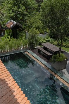 an outdoor swimming pool surrounded by greenery and wooden benches in the middle of it