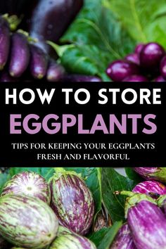 Fresh eggplants stored using various methods, highlighting tips for maintaining their freshness and flavor. Canning Eggplant, Storing Veggies, Eggplant Recipes Easy, Dehydrating Food, Preserving Foods, Eggplant Lasagna, Storing Vegetables