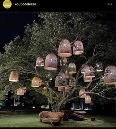 a tree with many lights hanging from it's branches in front of a building