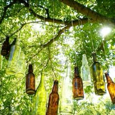 several empty glass bottles hanging from a tree