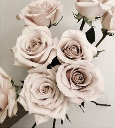 a bunch of white roses sitting on top of each other in front of a wall