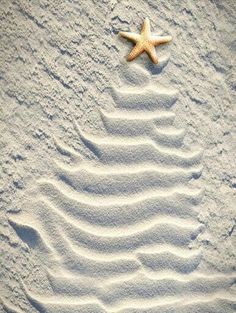 there is a starfish on the sand with words written in spanish