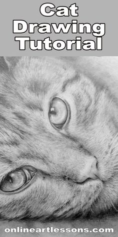 a black and white photo of a cat's face with the caption, how to draw a cat