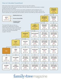 the family tree is shown in yellow and blue, as well as numbers on it