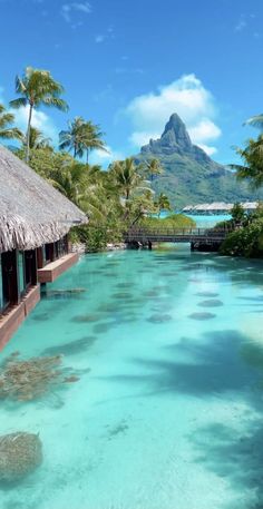 the water is crystal blue and clear in this tropical resort area with palm trees on either side