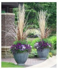 two large planters filled with purple and white flowers