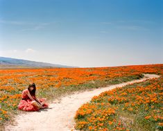 a woman in a pink dress sitting on a dirt path surrounded by wildflowers