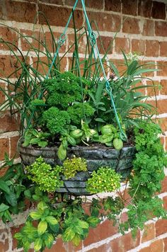 a hanging planter filled with lots of green plants next to a red brick wall