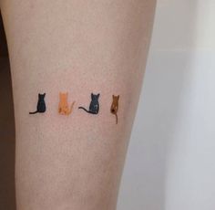 three cats sitting on the side of a woman's leg