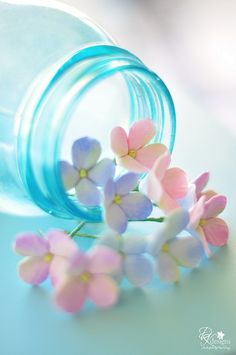 small pink and white flowers in a glass jar