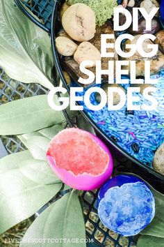 an egg shell is sitting on the ground next to other rocks and plants with text overlay reading diy egg shell geodes