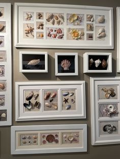 there are many framed pictures and seashells on the wall