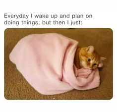 a cat wrapped in a blanket on the floor with caption that reads, everyday i wake up and plan on doing things, but then i just