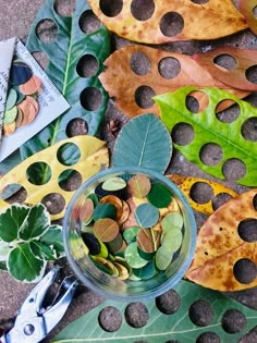 some leaves are laying on the ground next to scissors and other things that have been placed around them