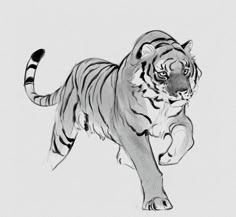 a black and white drawing of a tiger