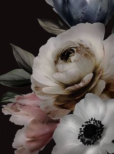 an arrangement of flowers on a black background