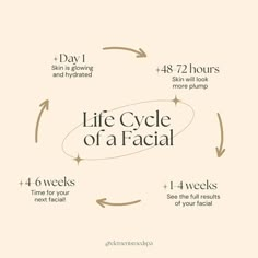 Life Cycle of a Facial Esthetician Room Supplies, Davenport Florida, Facial Room, Beauty Skin Quotes