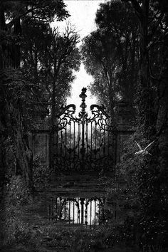 black and white photograph of an iron gate in the woods with trees around it,