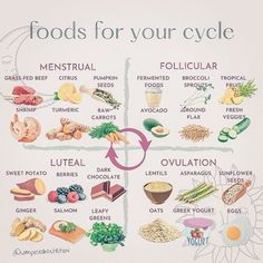 Increase Estrogen, Hormone Nutrition, Cycling Food, Achy Joints, Fertility Nutrition, Foods To Balance Hormones, Low Estrogen Symptoms, Low Estrogen, Healthy Hormones