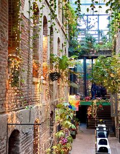 an alley way with plants growing on the walls and potted plants hanging from the ceiling