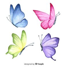 four butterflies painted in different colors