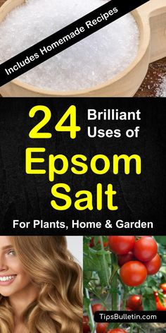 the cover of 24 brilliant uses of epsom salt for plants, home & garden