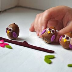 two little owls sitting on top of a table next to a person's hand