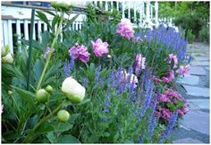 many different types of flowers in a garden