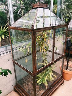 a glass house with plants growing inside of it