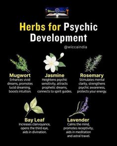 herbs for psychic development and development