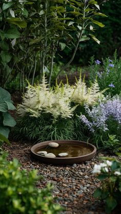 a garden filled with lots of plants and rocks