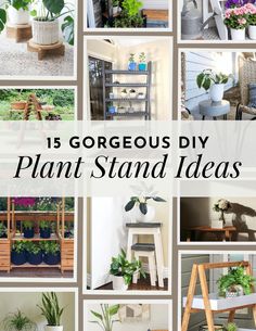 various plant stand ideas with text overlay that reads 15 gorgeous diy plant stand ideas