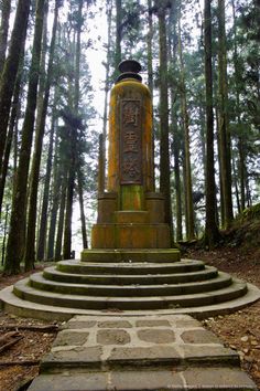 the steps lead up to a monument in the woods