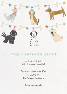 a birthday party card with dogs hanging from clothes pins and stars on a line, which reads tom's turning seven